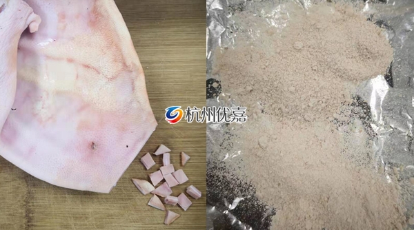 宋慈多樣品研磨儀對(duì)豬耳朵進(jìn)行干磨提取DNA